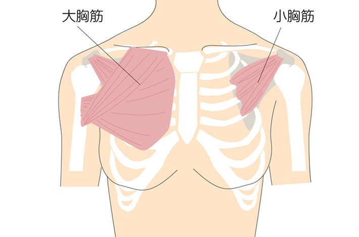 筋膜＆筋肉組織ケア
