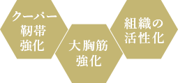 栄養の取り込み/細胞活性化/ホルモンリズム